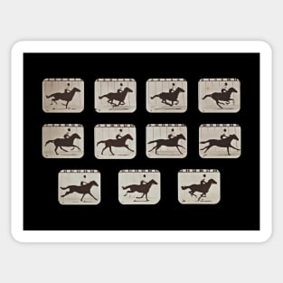 Vintage Horse In Motion - Sallie Gardner at a Gallop Sticker